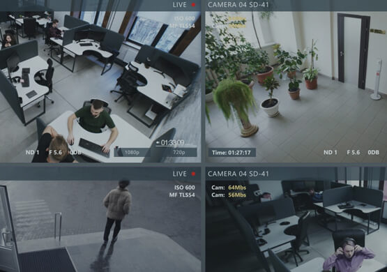 Live video monitoring feeds for a Dallas business